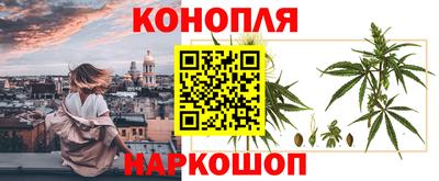a pvp Пушкино
