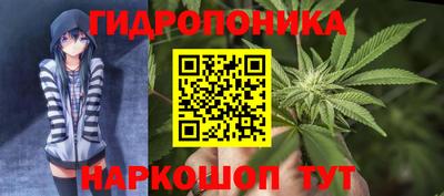 a pvp Пушкино