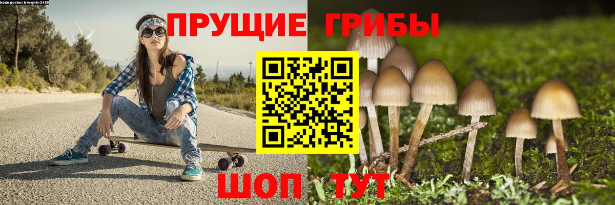 Омск  Псилоцибиновые грибы мухоморы  Псилоцибиновые грибы Psilocybine cubensis  Вход с VPN 